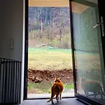 Ella Appartamento Gratkorn