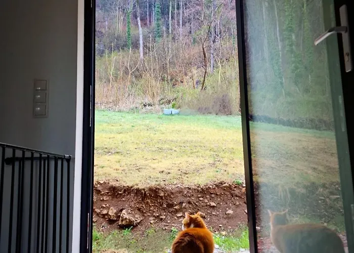 Ella Appartement Gratkorn